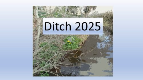 Nature Lovers Responsibilities